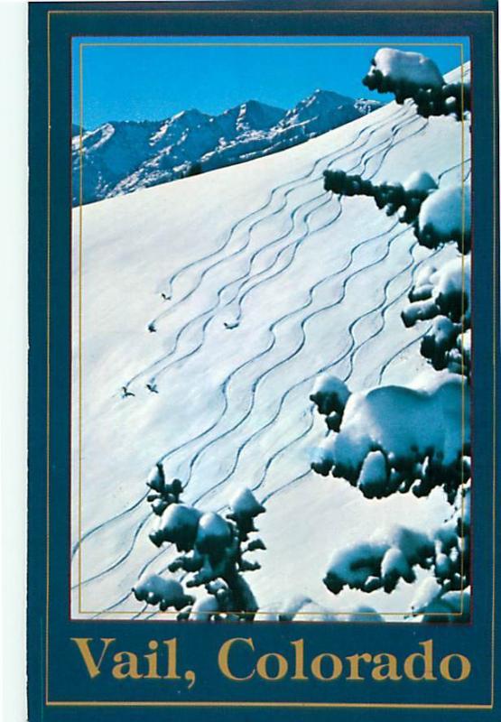 Vail Colorado Skiers Snow Skiing Milts Face Fresh Powder  Postcard  # 7915