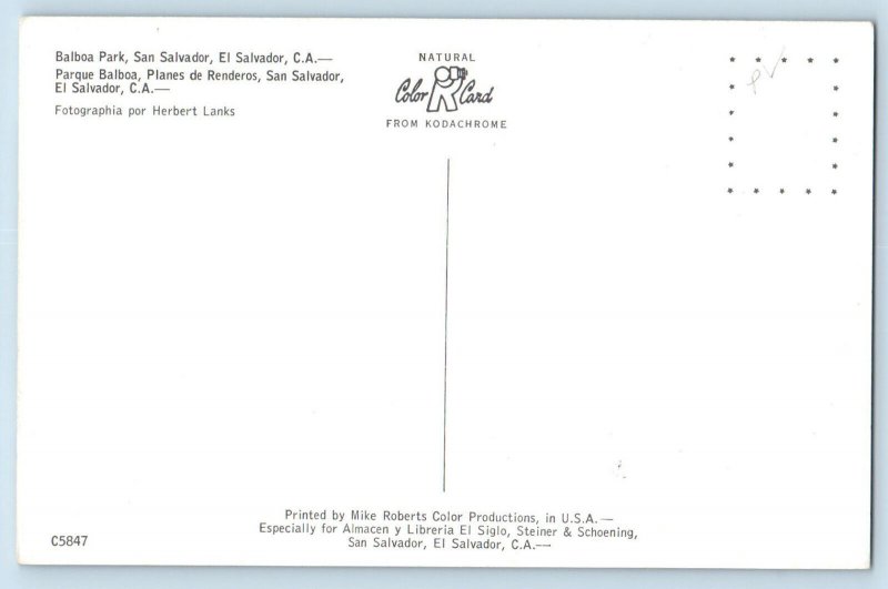 El Salvador C.A. Postcard Balboa Park San Salvador c1950's Vintage Unposted