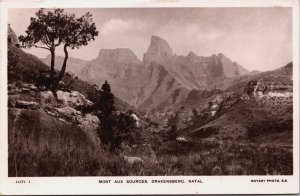 South Africa Mont Aux Sources Drakensberg Natal Vintage RPPC C040