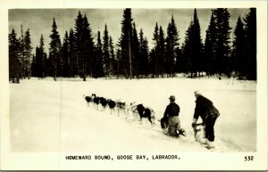 RPPC Sled Dog Team Homeward Bound Goose Bay Labrador Canada real photo postcard