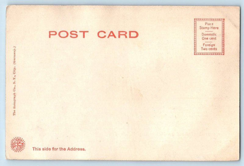 c1905's Shell Road On Mobile Bay Lined Trees Mobile Alabama AL Antique Postcard