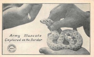 SPANISH AMERICAN WAR SNAKE ARMY MASCOT KAVANAUGH'S MILITARY POSTCARD (c. 1914)