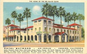 Big Black Olive Hotel Hayward Corning California linen 1942 Postcard Teich 13263