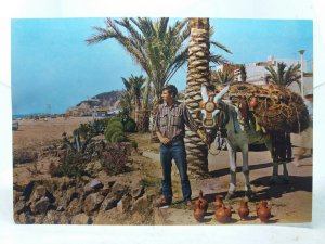 A Street Hawker With his Donkey Calella Spain Vintage Postcard