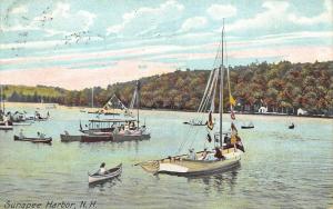 Lake Sunapee NH Busy Boat Day 1910  Postcard