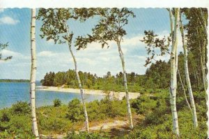 America Postcard - Sebago Lake - Maine - Ref TZ7760