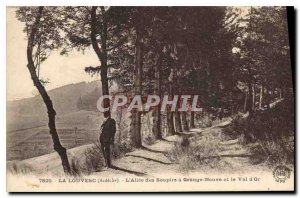 Old Postcard Louvesc Ardeche Allee of Sighs has Grange Neuve and Val d'Or