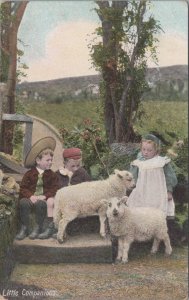 Children Postcard - Animals - Boys and Girl With Sheep, Lambs Ref.RS32843