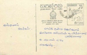 Entier Postal Stationery Postal Sri Lanka Ceylon Lion