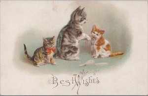 Postcards Cats Playing With Each Other