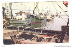 Chalutiers Modernes En Port- Modern Draggers In Port, Bay Chaleur, New Brun...