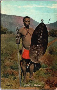 South Africa A Native Warrior Vintage Postcard C094