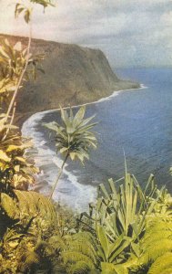 WAIPIO VALLEY Island of Hawaii Kodachrome c1950s Vintage Postcard