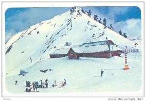 Snow-Covered Ho-Hwan Mountain in Taichung,40-60s