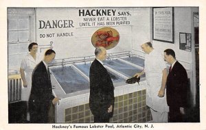 Hackney's Famous Lobster Pool Largest Sea Food Restaurant in World Atlantic C...