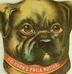 1880's Die-Cut Dog Colburn's Phila. Mustard Handsome Dog Boxer ? P178