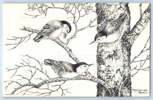 Birds On The Tree Margaret Blair Signed Artist Southampton PA Vintage Postcard