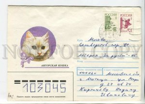 447819 RUSSIA 1990 year Usova angora cat 1994 real posted COVER