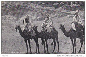 Beduin En Voyage, Men On Camels, Egypt, Africa, PU-1912