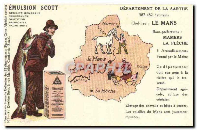 Old Postcard Emulsion Scott Poisson Department Sarthe Mamers La Fleche