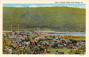 Paper Mills Lock Haven, Pennsylvania PA