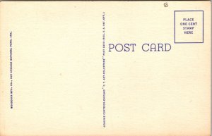 Linen Comic Postcard Hot Springs National Park Arkansas Fire Under Bedsprings