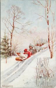 Tobagganing Winter Sports Canada c1909 TUCK 2624 Postcard D87