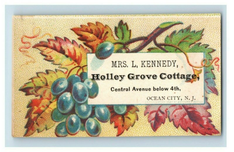 1880's Mrs. L. Kennedy Holley Grove Cottages Ocean City NJ Grapes Leaves P153