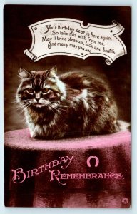 RPPC  CUTE KITTEN ~ BIRTHDAY Remembrance c1910s Tinted British  Postcard