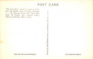 The Lyre Bird by Audebert and Vieillot Harvard College Library, Cambridge, MA...