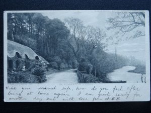 Dorset CHRISTCHURCH Blackwater Ferry c1902 UB Postcard by S. Hildesheimer