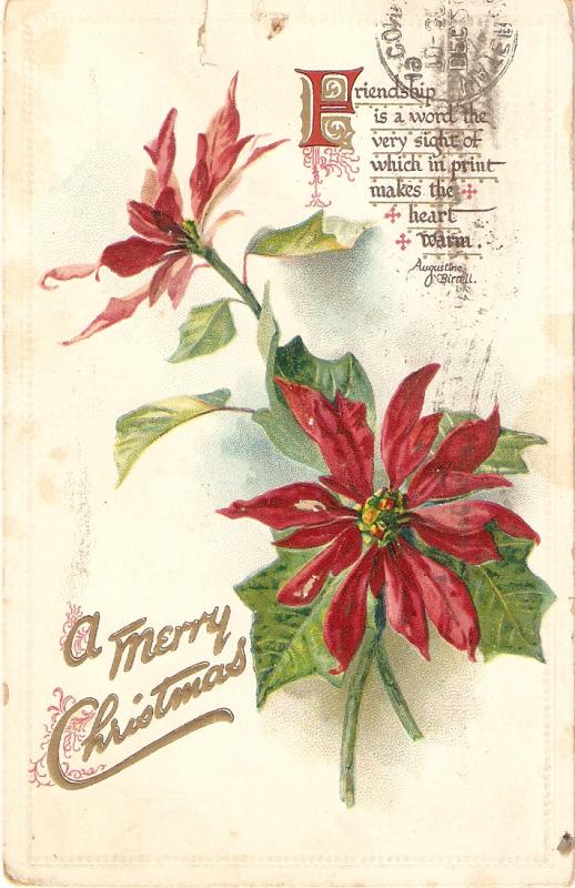 Poinsetial flowers.Message  Tuk Christma Seies PC # 506