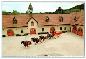 c1950's Clydesdale Horses Anheuser Busch Merrimack New Hampshire NH Postcard