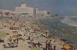 LP48  Santa Monica Beach, California, CA, Postcard, Beach & 