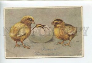 3176306 EASTER Chicken in EGG by A.W. Vintage TSN #2051 PC