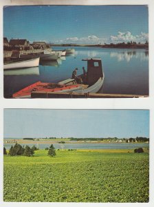 P2948, 2 vintage postcard prince edward island malpeque cove, potato farm canada