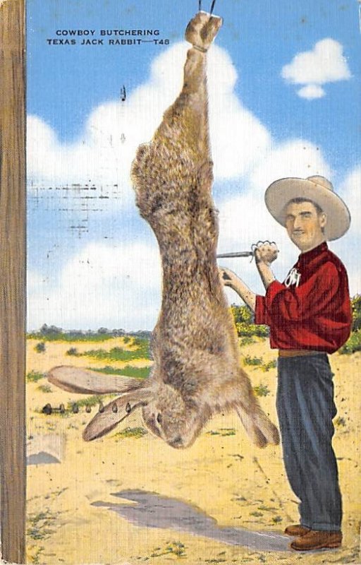 Cowboy Butchering Texas Jack Rabbit View Postcard Backing 