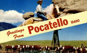 USA Greetings From Pocatello Idaho Vintage Postcard 08.45