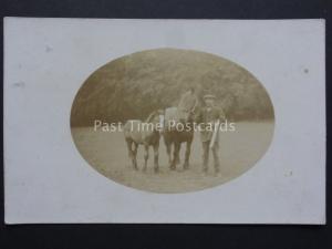 Gentlemen Holding a Shotgun in Field with Horse & Fole c1915 RP