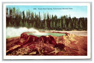 Vintage 1920's Postcard Punch Bowl Spring Yellowstone National Park Wyoming