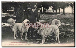 Dog - Dogs Pyrenees - Two Friends - Old Postcard