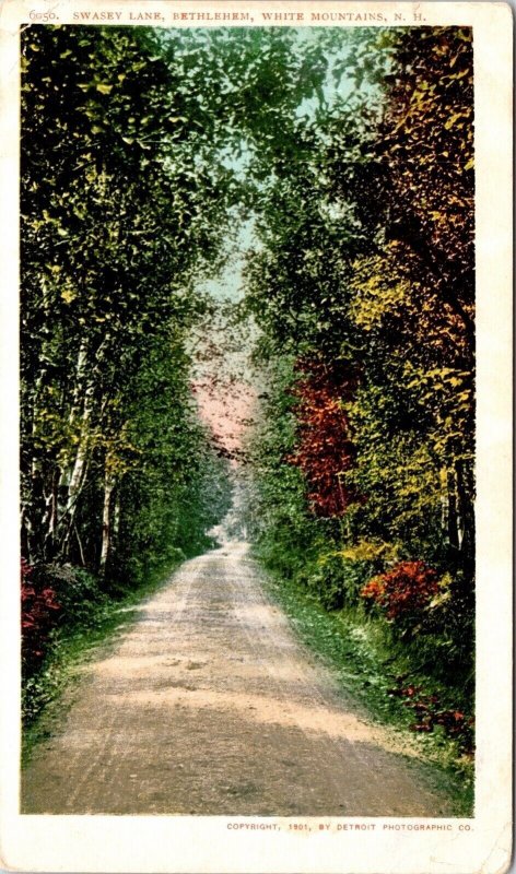 Swasey Lake Bethlehem White Mountains New Hampshire Scenic Road UDB Postcard 