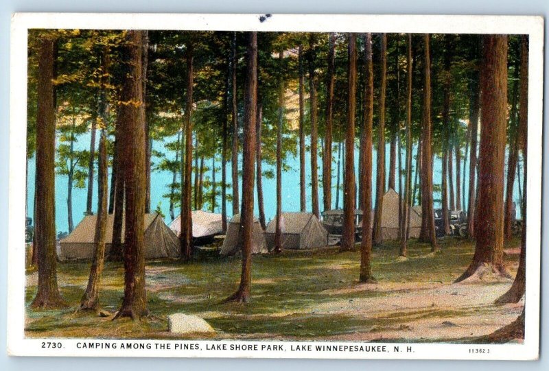 Lake Winnepesaukee New Hampshire NH Postcard Camping Pines Lake Shore Park c1927