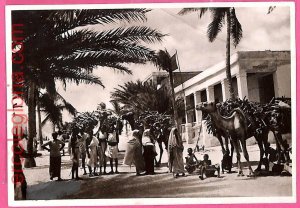 af9114 - SOMALIA - VINTAGE POSTCARD - Ethnic-