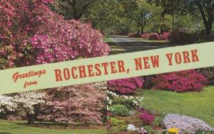 Greetings from Highland Park - Flower City NY, Rochester, New York