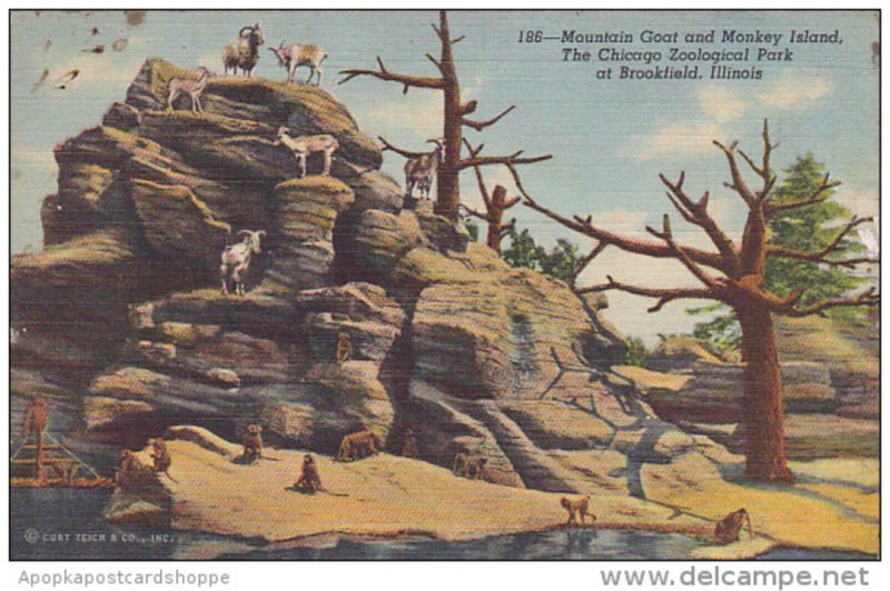 Mountain Goat and Monkey Island Chicago Zoological Park Brookfield Illinois C...