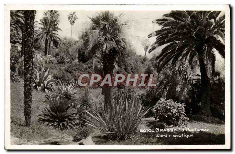 Old Postcard Grasse The Scented Exotic Garden