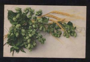 3068431 Wild BOUQUET Style KLEIN vintage Photo RPPC 1911 year