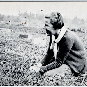 c1950s Long Beach, WA John Elo Bog Cranberries Viewcard Etch Tone Photo A144