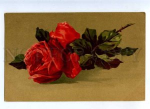 215371 Red ROSES By C. KLEIN vintage russian PC  